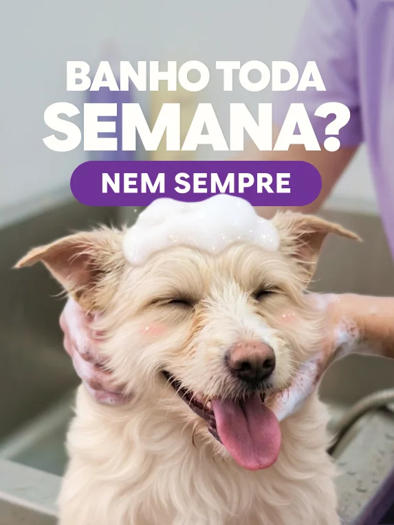 Post novo da empresa, com a cara da marca